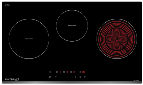 Bếp điện từ EUROSUN EU-TE316